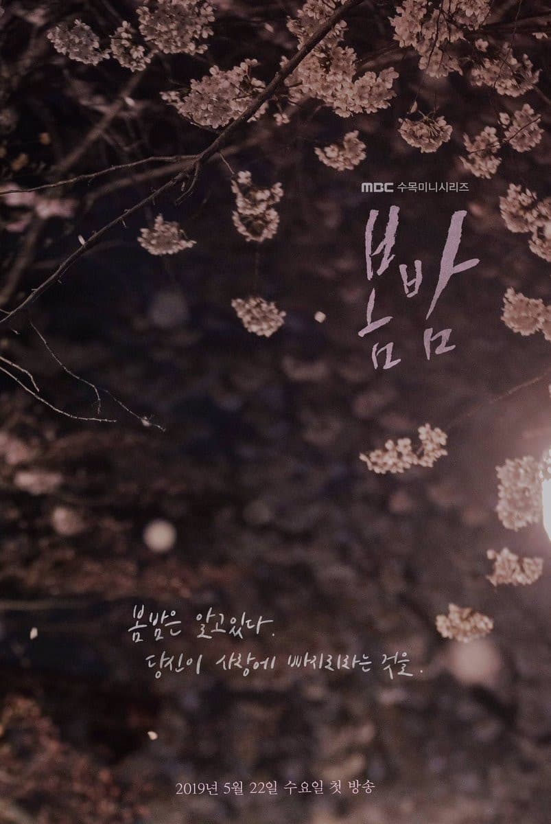 Poster di One Spring Night