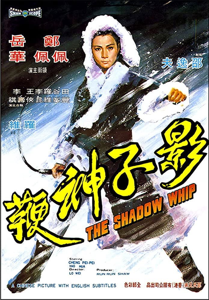 Poster di 影子神鞭
