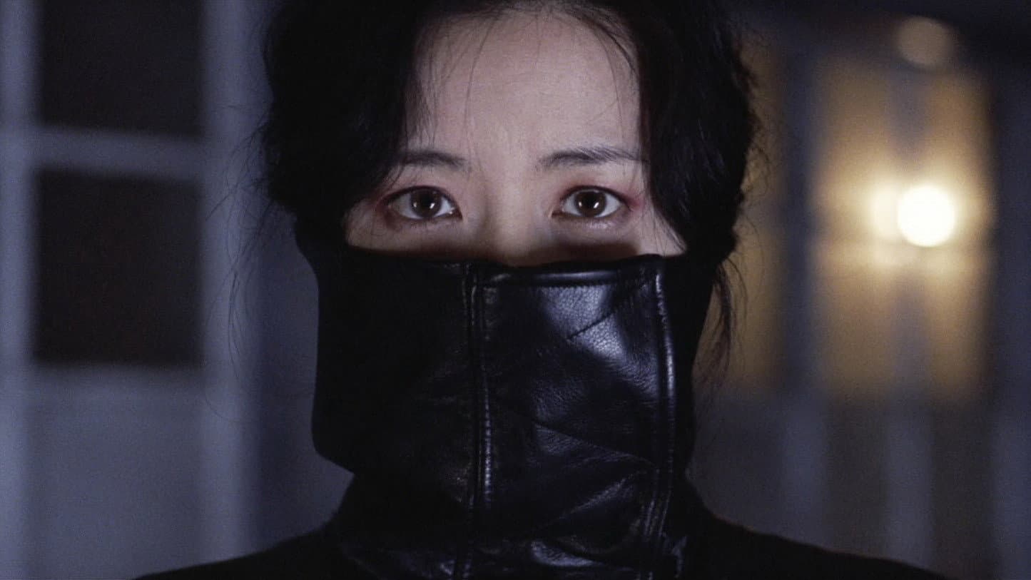 Lady Vendetta - immagine