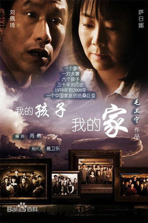 Poster di 我的孩子我的家