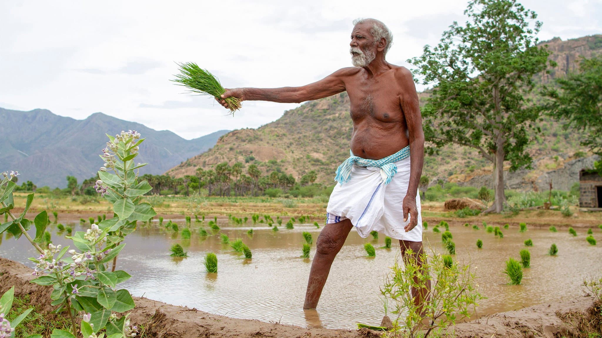 கடைசி விவசாயி - immagine