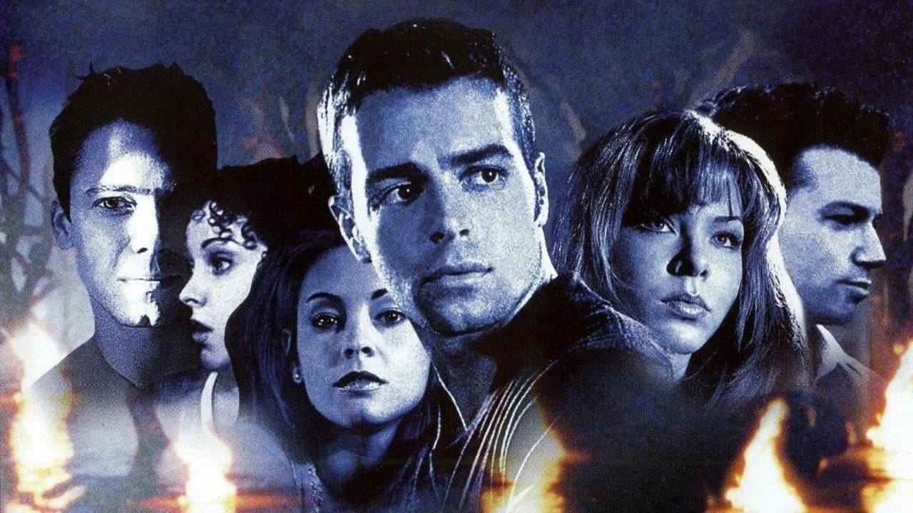 L'inseguimento - immagine