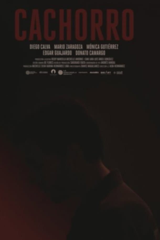 Poster di Cachorro
