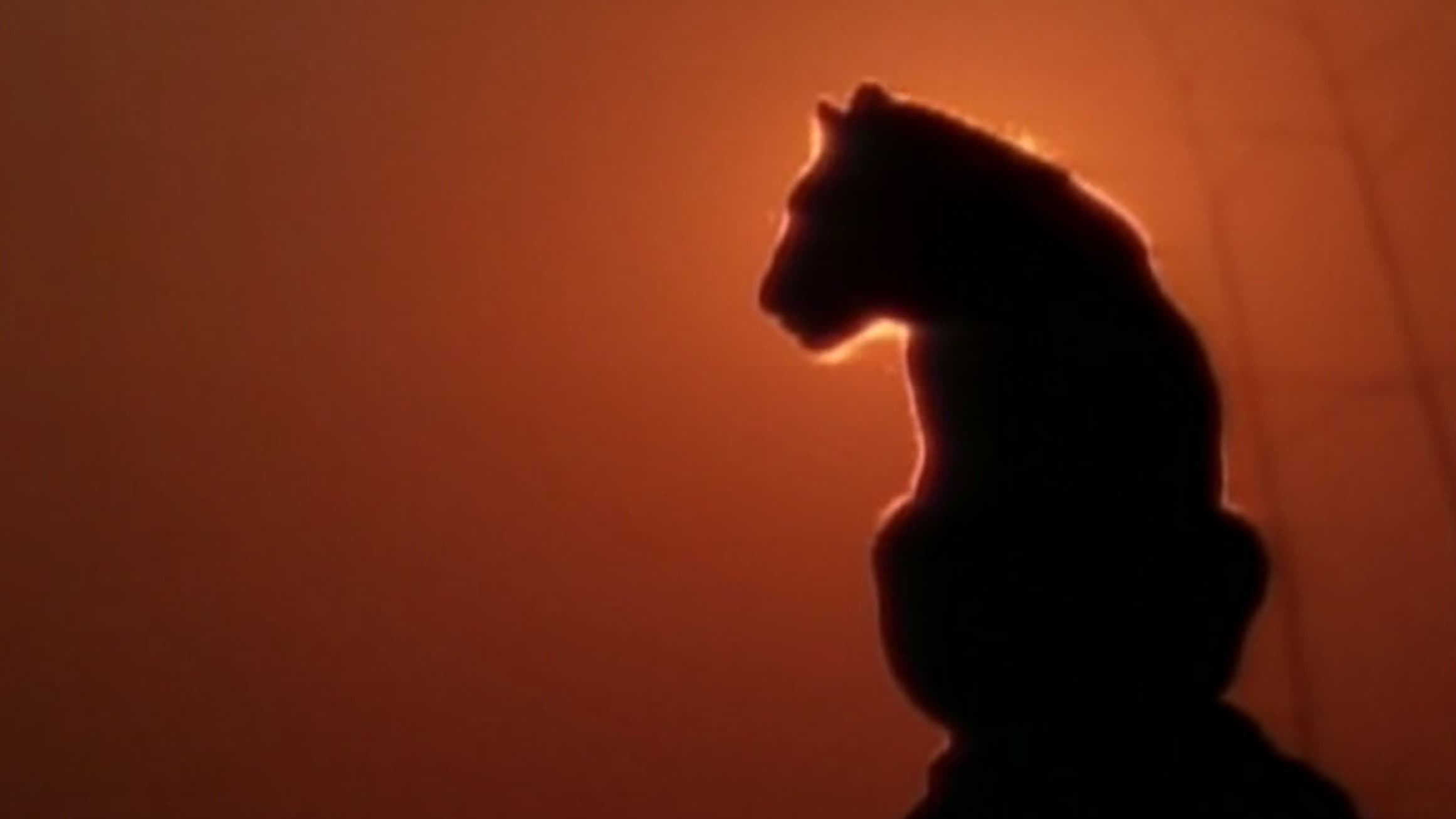 Lions Of Darkness - immagine