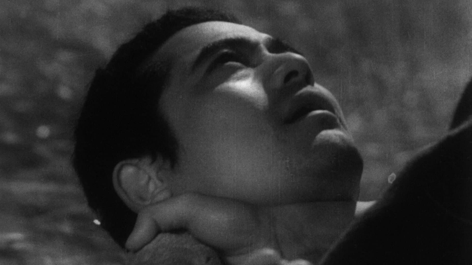 Sanshiro sugata - immagine