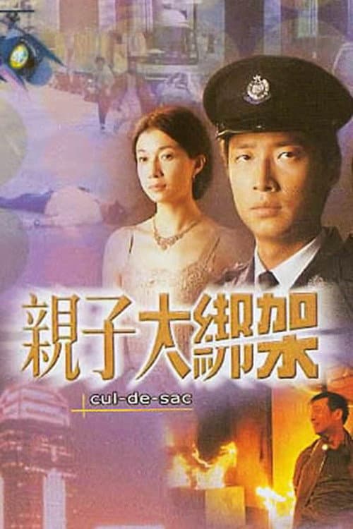 Poster di 親子大綁架