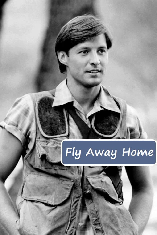 Poster di Fly Away Home