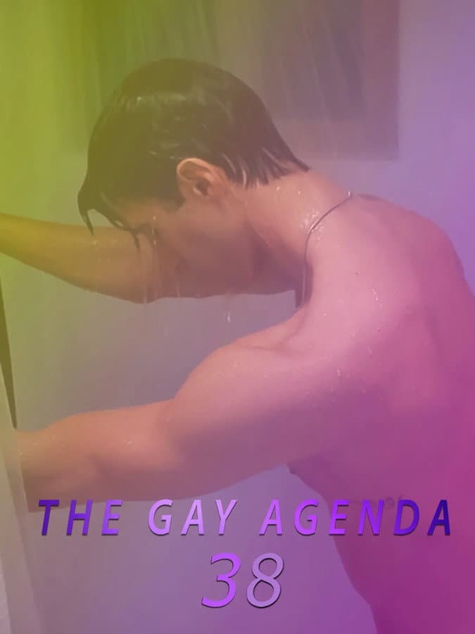 Poster di The Gay Agenda 38