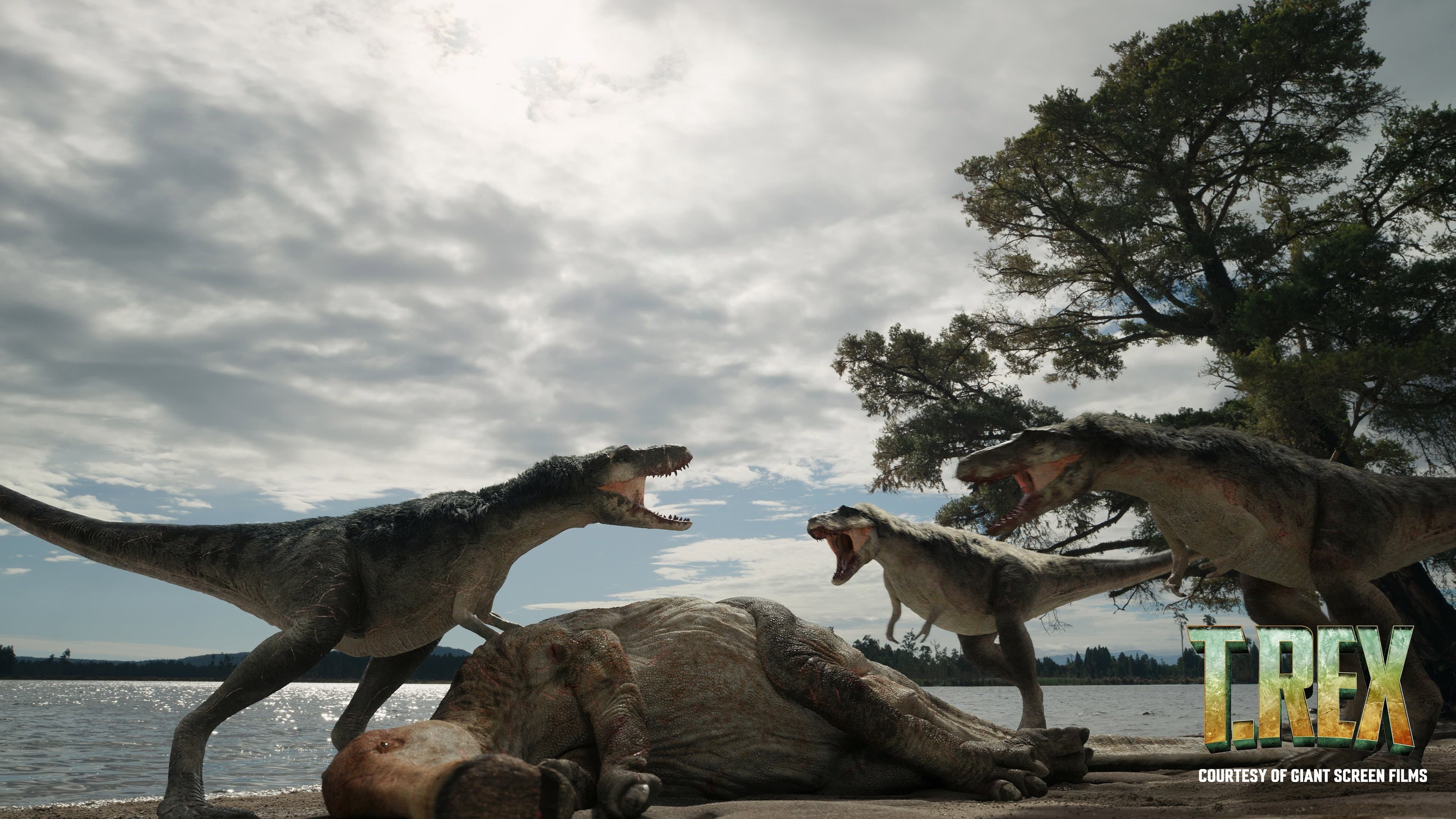 T. REX - immagine