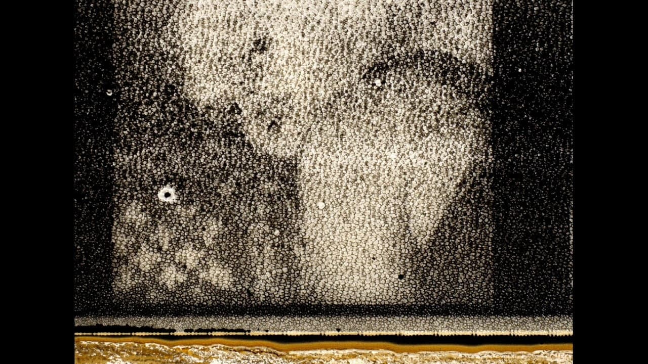 The Village Detective: A Song Cycle - immagine