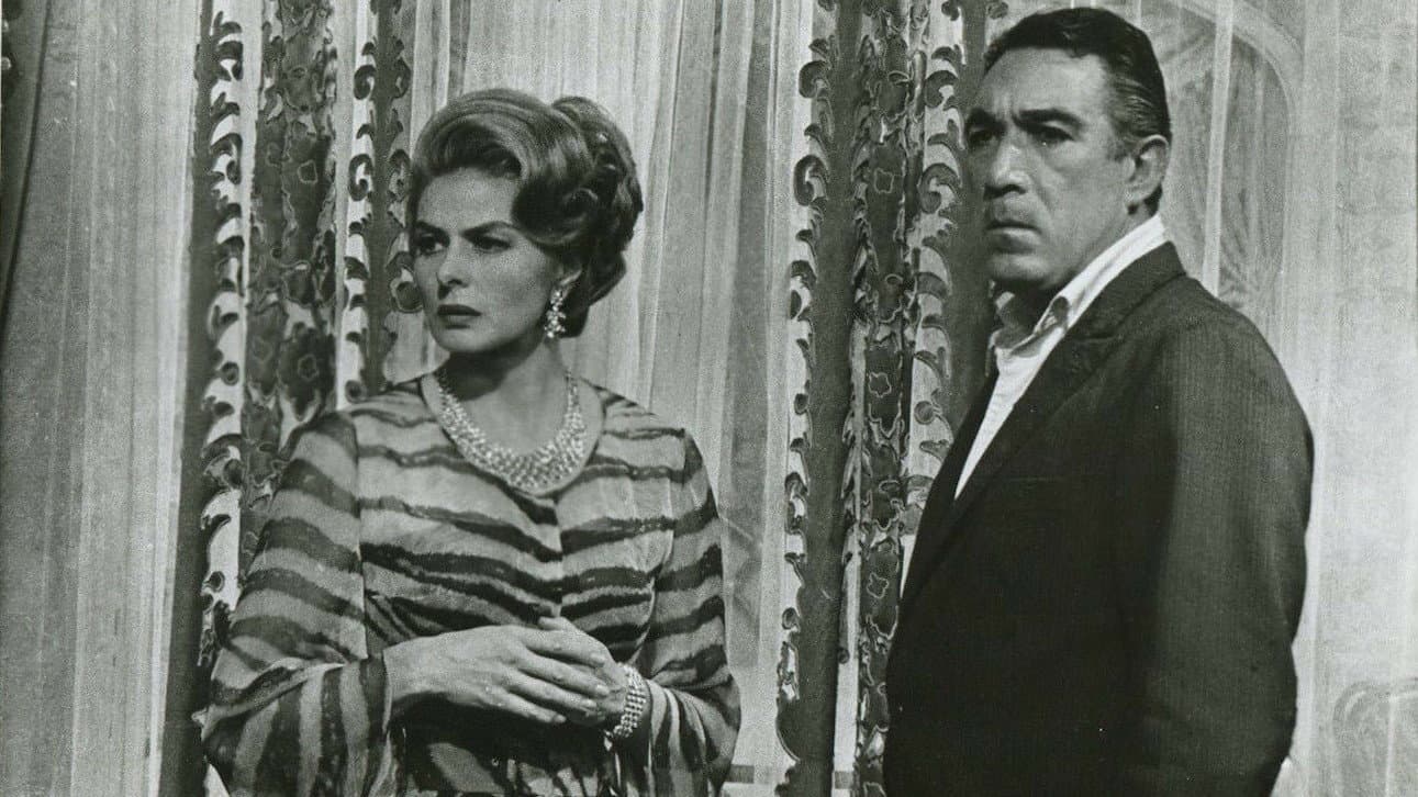 La vendetta della signora - immagine