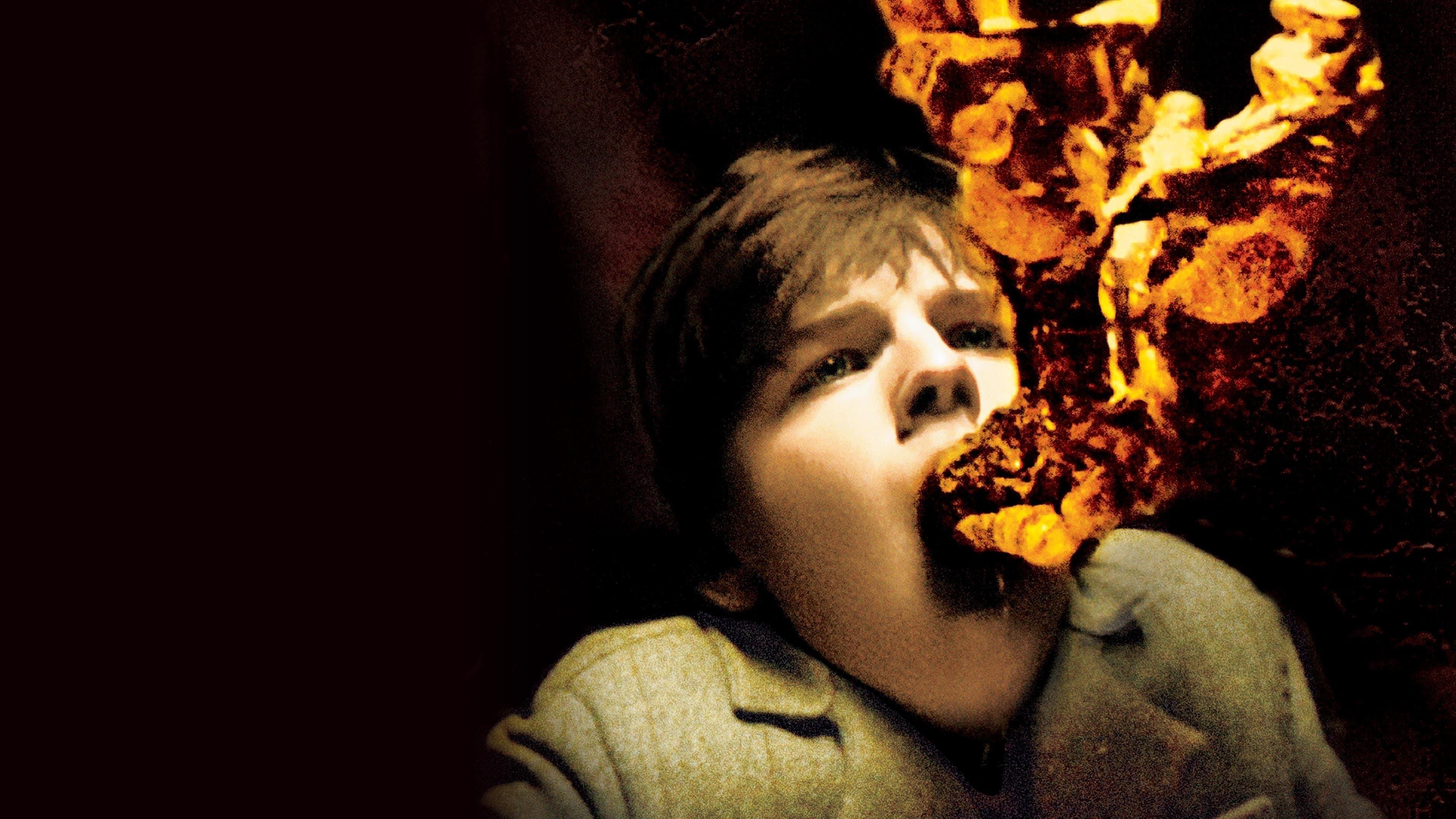 Il messaggero - The Haunting in Connecticut - immagine