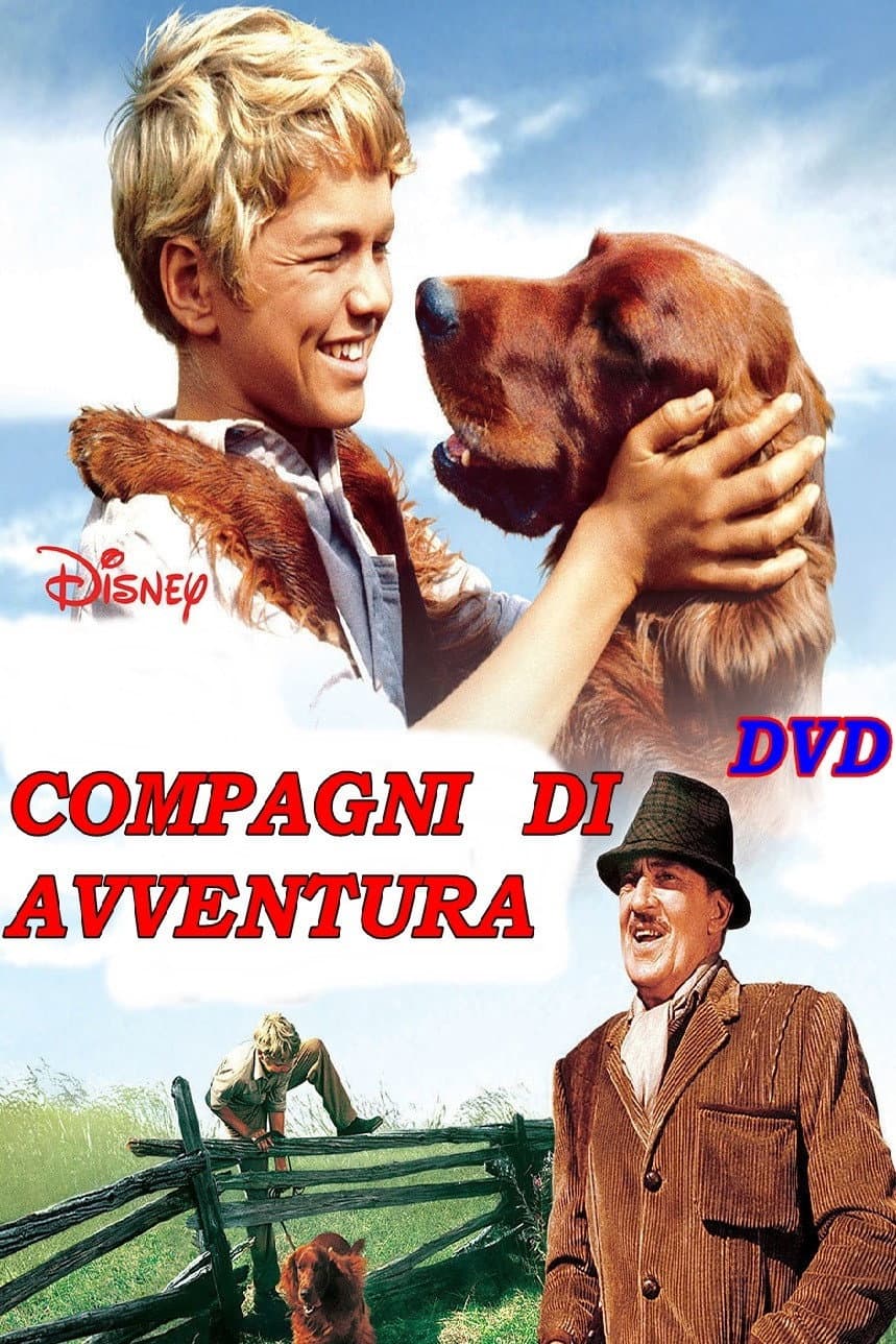 Poster di Compagni d'avventura