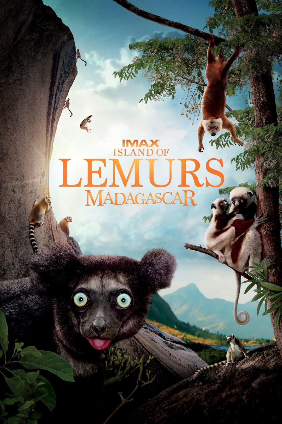 Poster di Madagascar: L'isola dei Lemuri