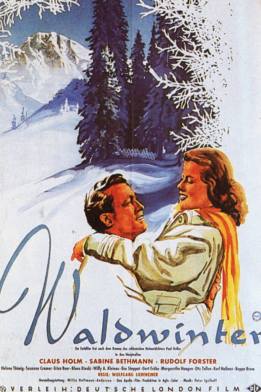 Poster di Waldwinter