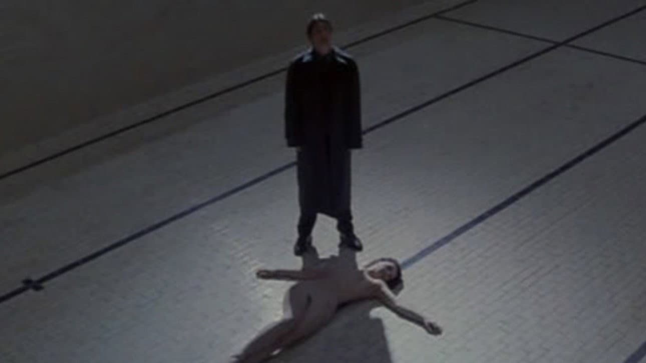 Postmortem - immagine