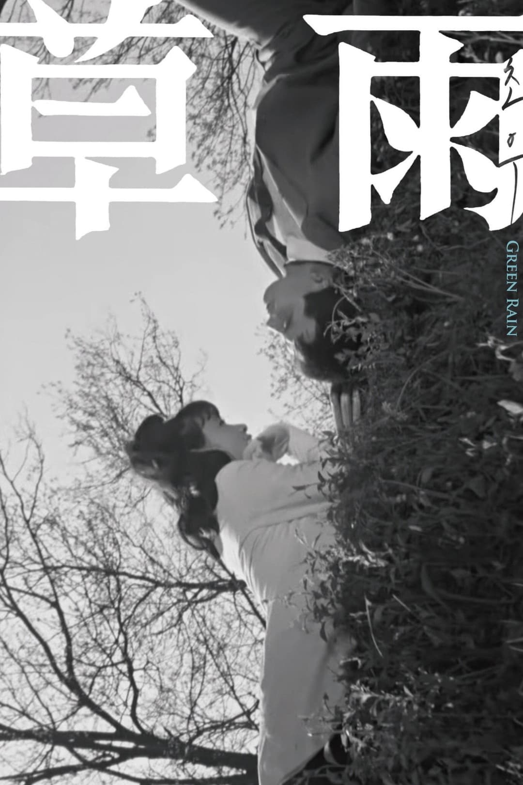 Poster di 초우