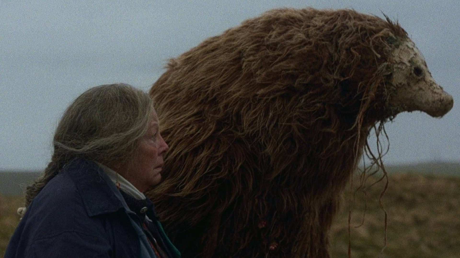 A Bear Remembers - immagine