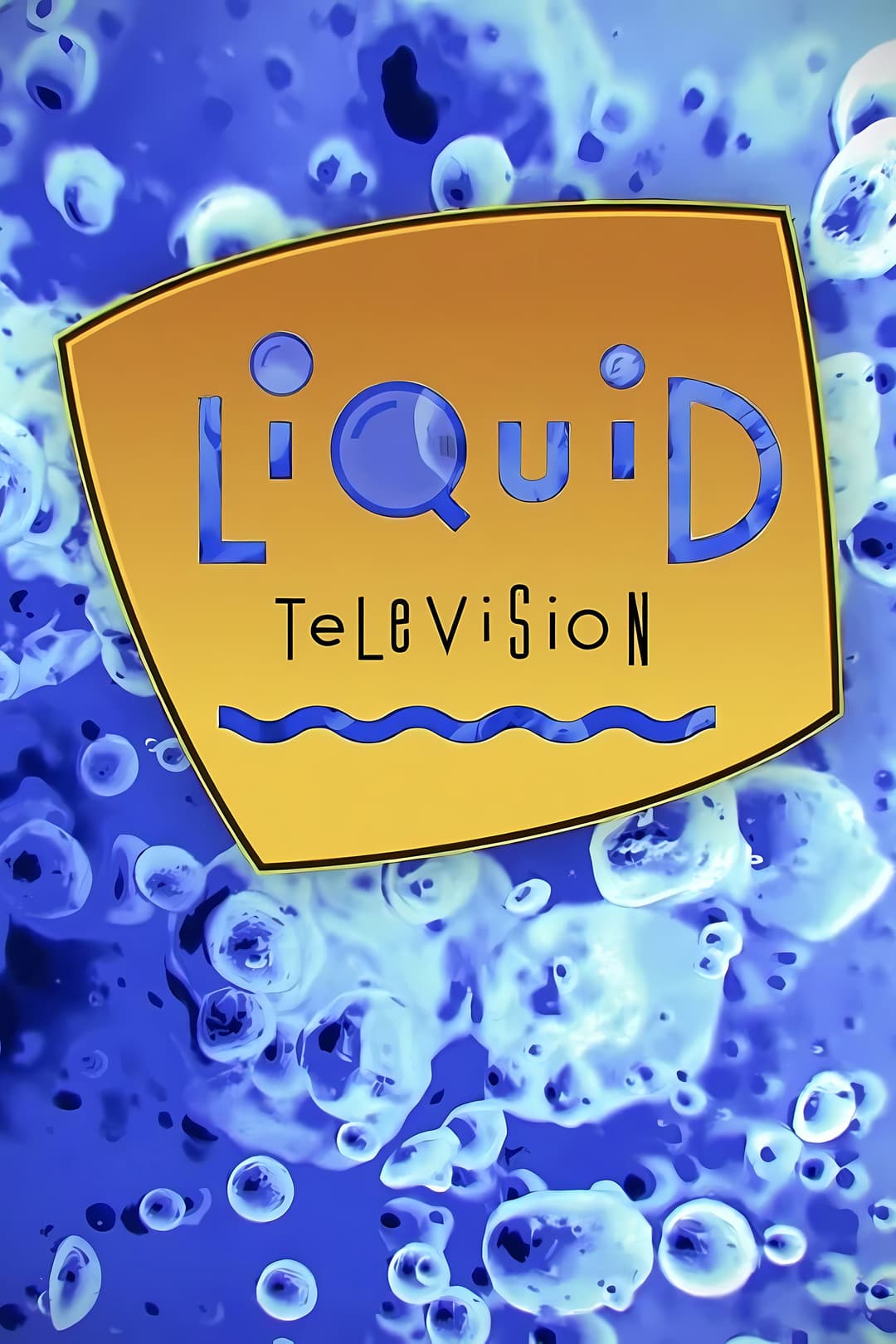 Poster di Liquid Television