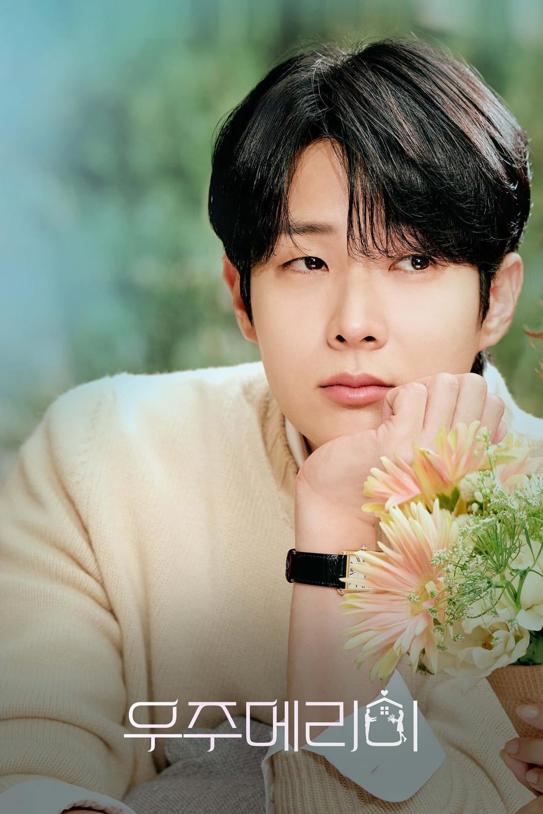 Poster di 우주메리미