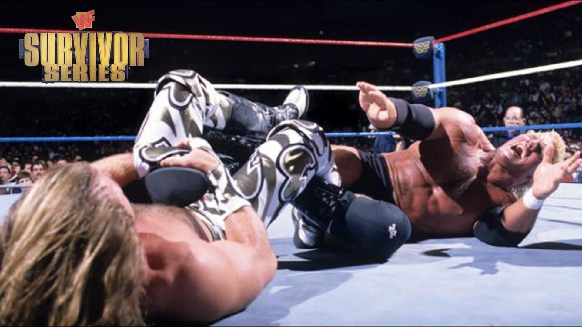 WWE Survivor Series 1996 - immagine