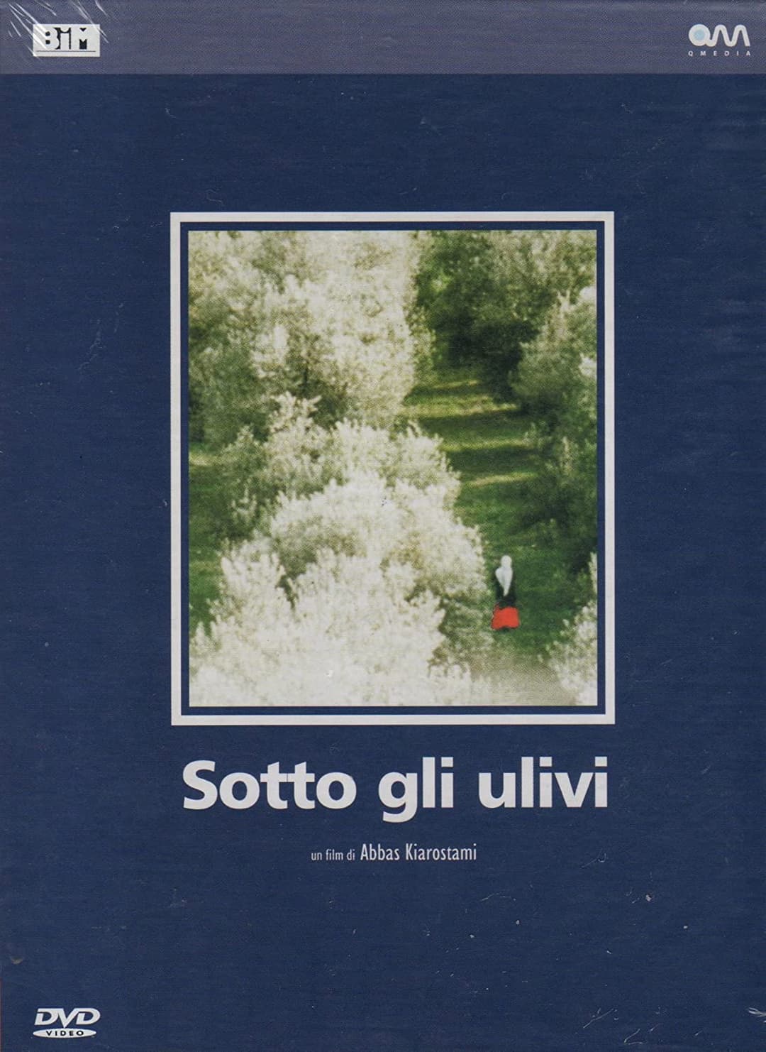 Poster di Sotto gli ulivi