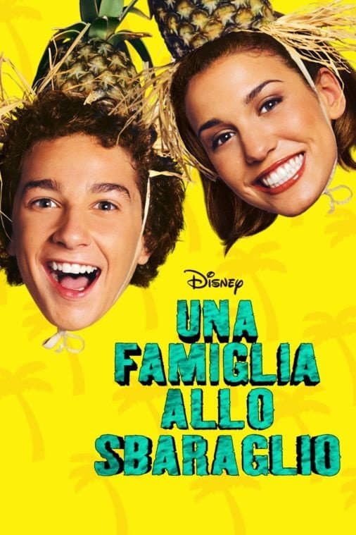 Poster di Una famiglia allo sbaraglio