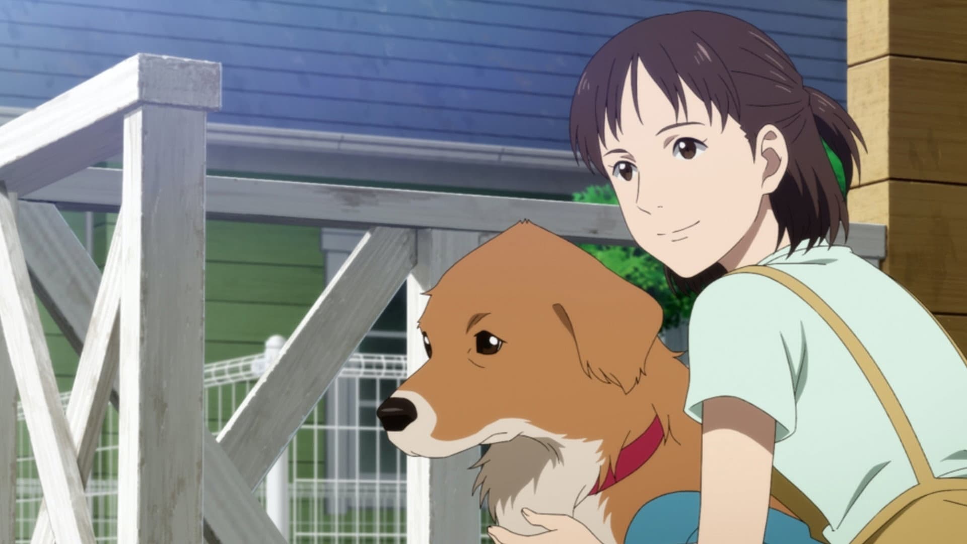 とんがり頭のごん太 ―2つの名前を生きた福島被災犬の物語― - immagine
