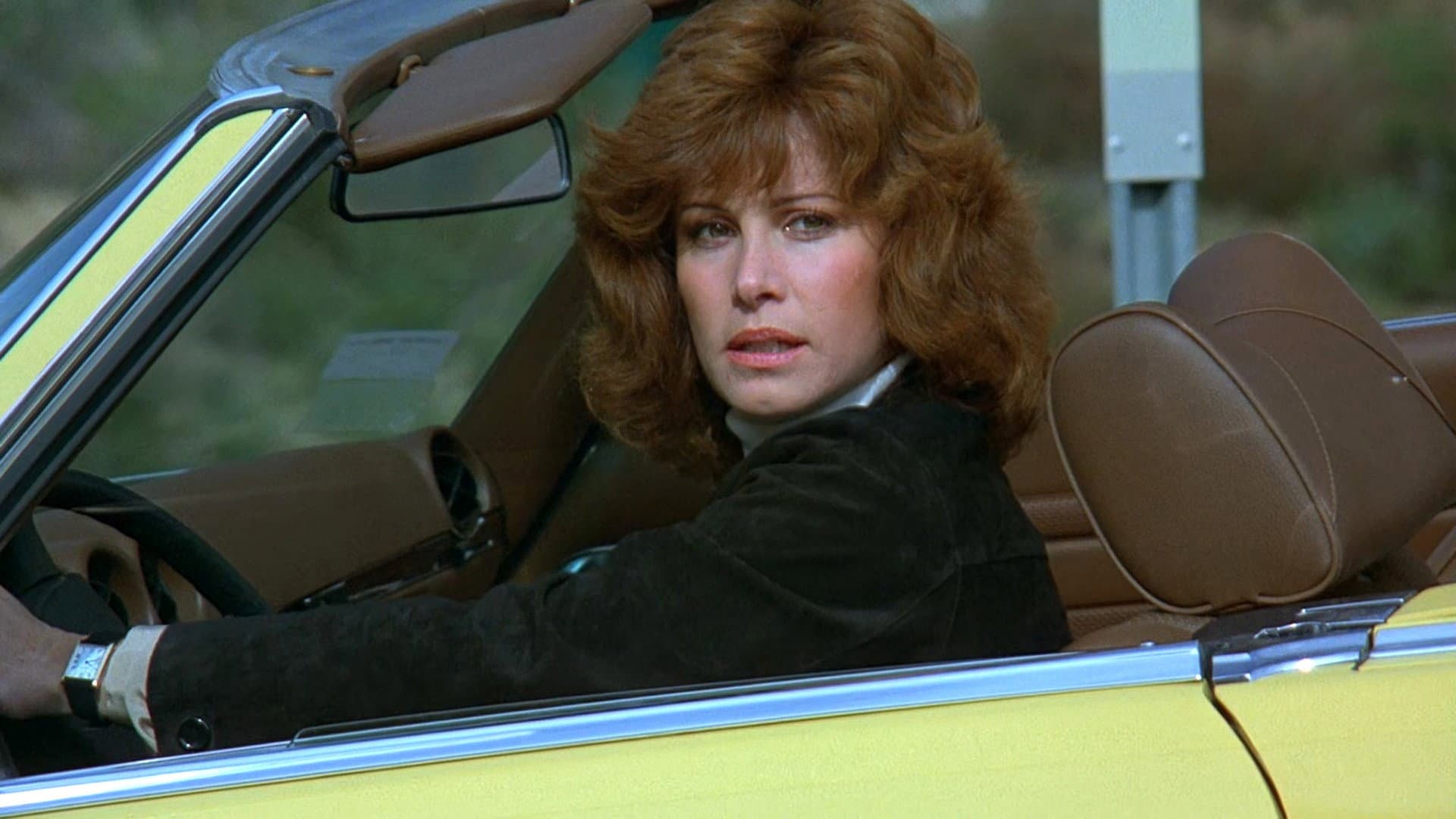 Hart to Hart - immagine