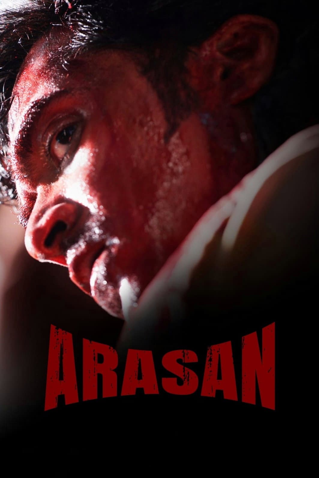 Poster di அரசன்