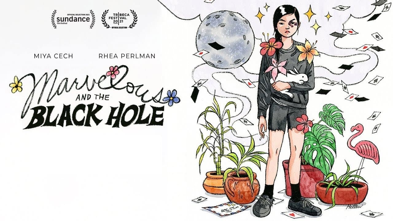 Marvelous and the Black Hole - immagine