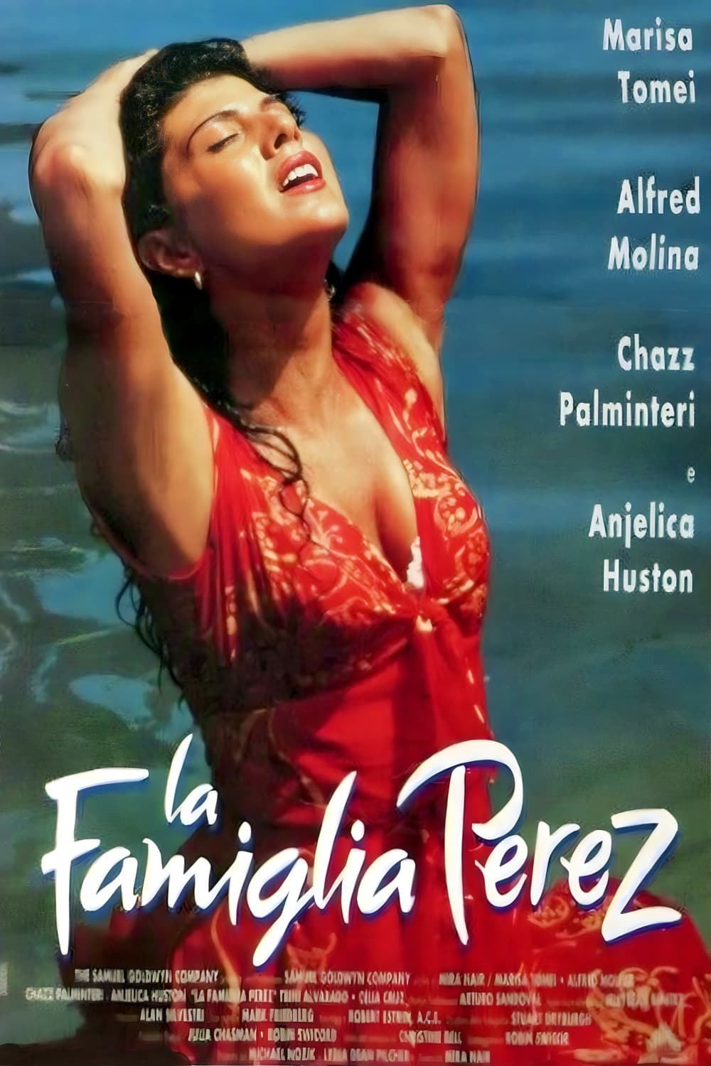 Poster di La famiglia Perez