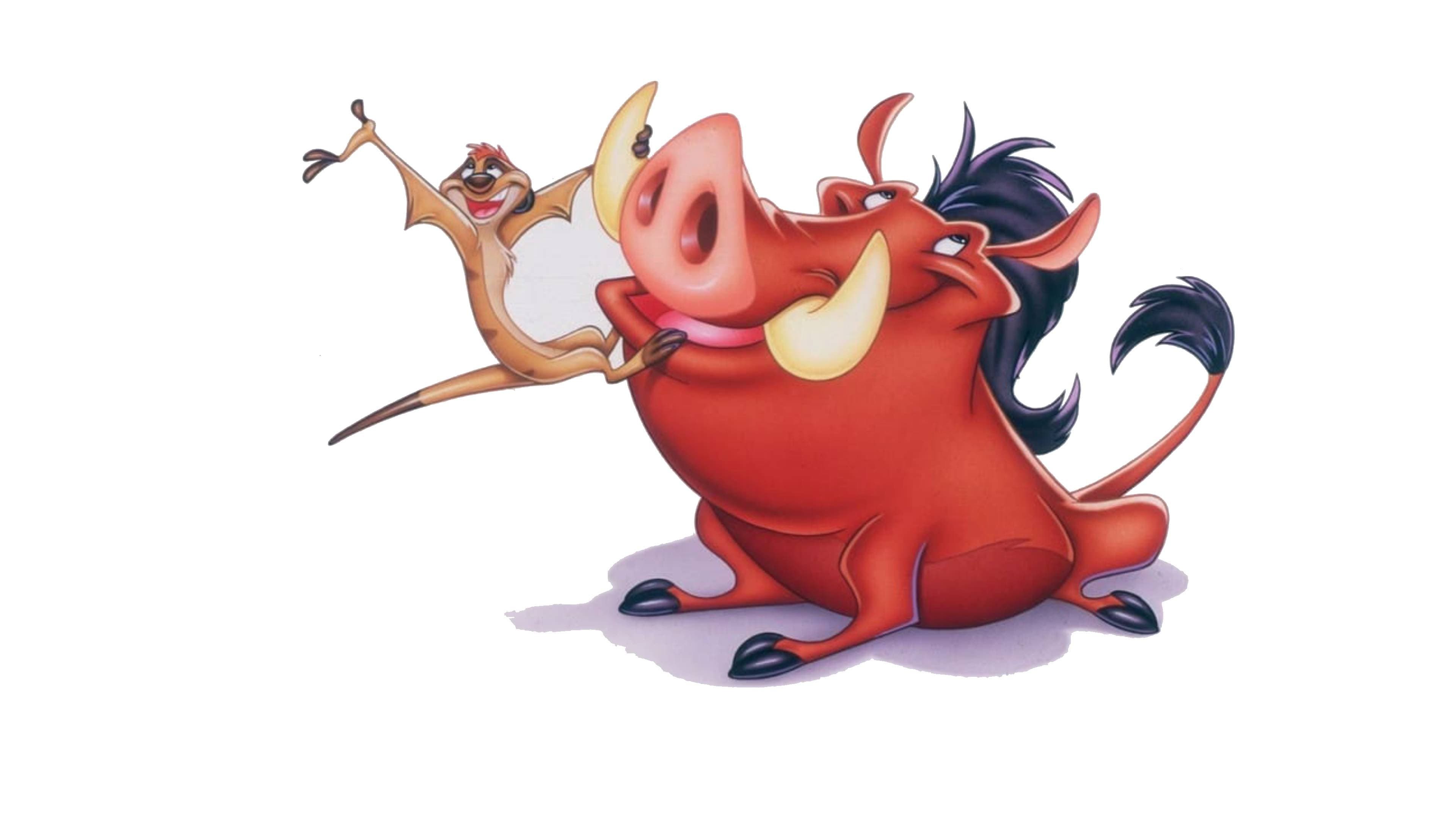 Fuori a cena con Timon e Pumbaa - immagine