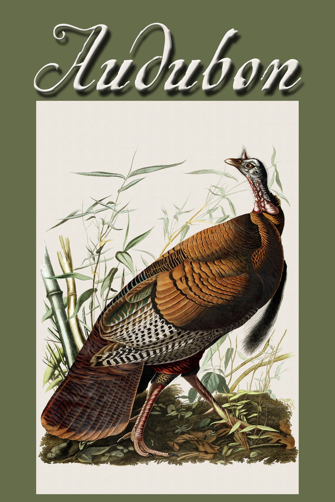 Poster di Audubon