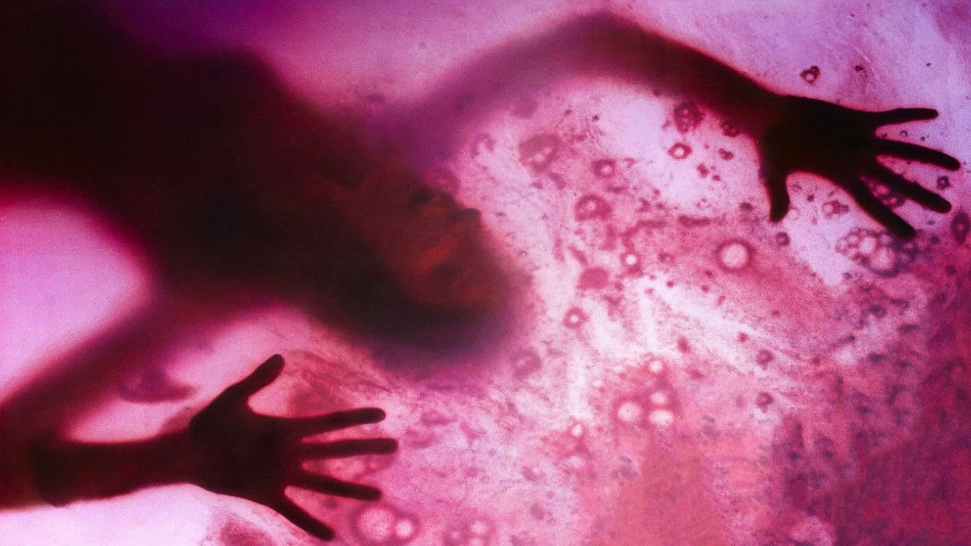 Blob - Il fluido che uccide - immagine