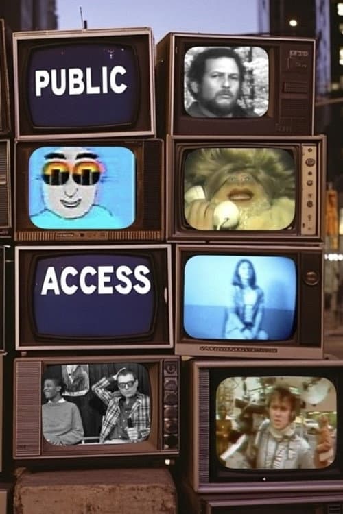 Poster di Public Access