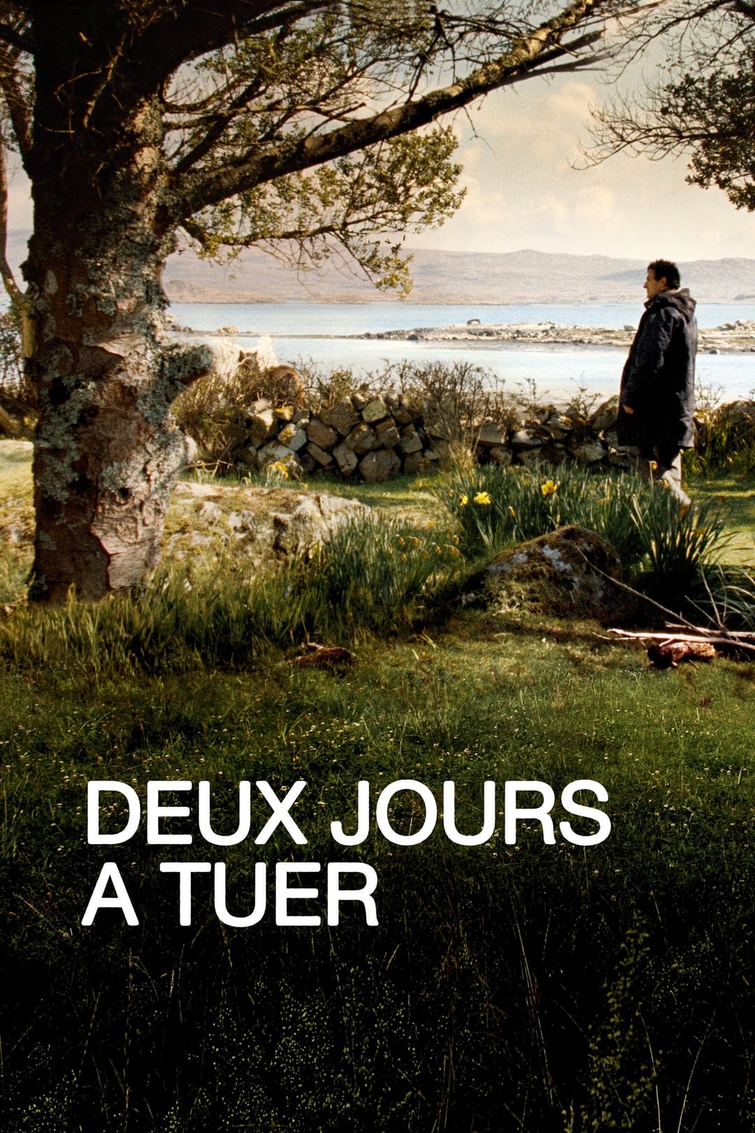 Poster di Deux Jours à tuer