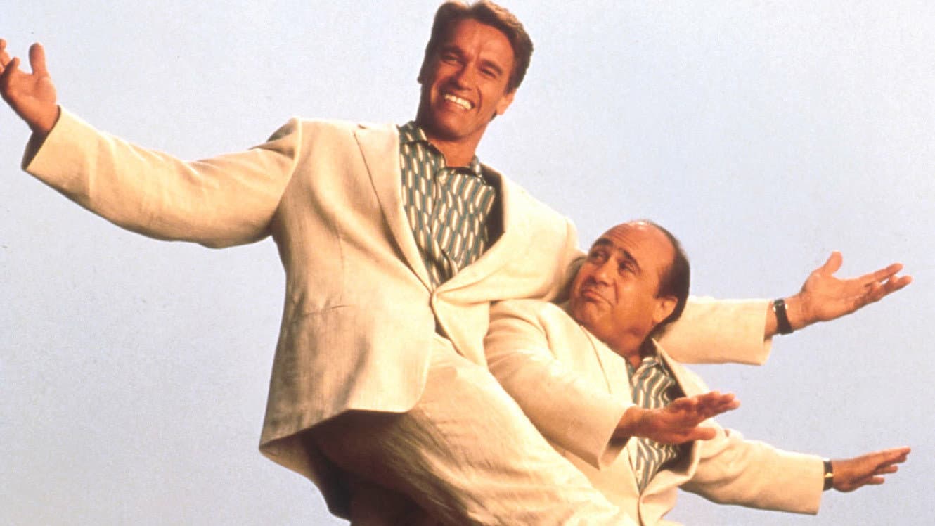I gemelli - immagine