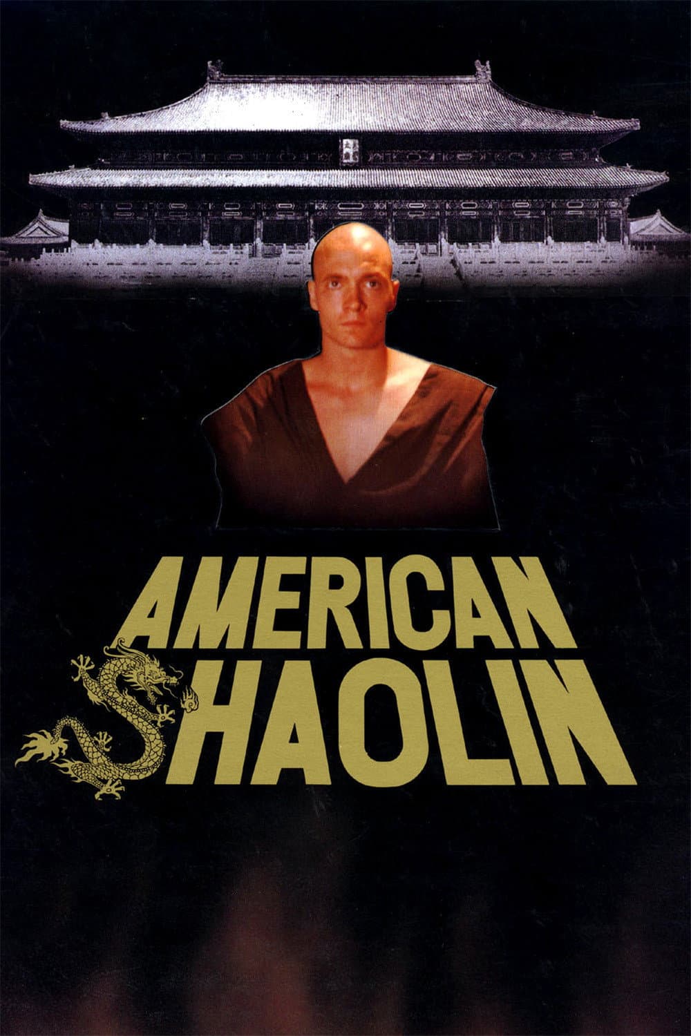 Poster di American Shaolin