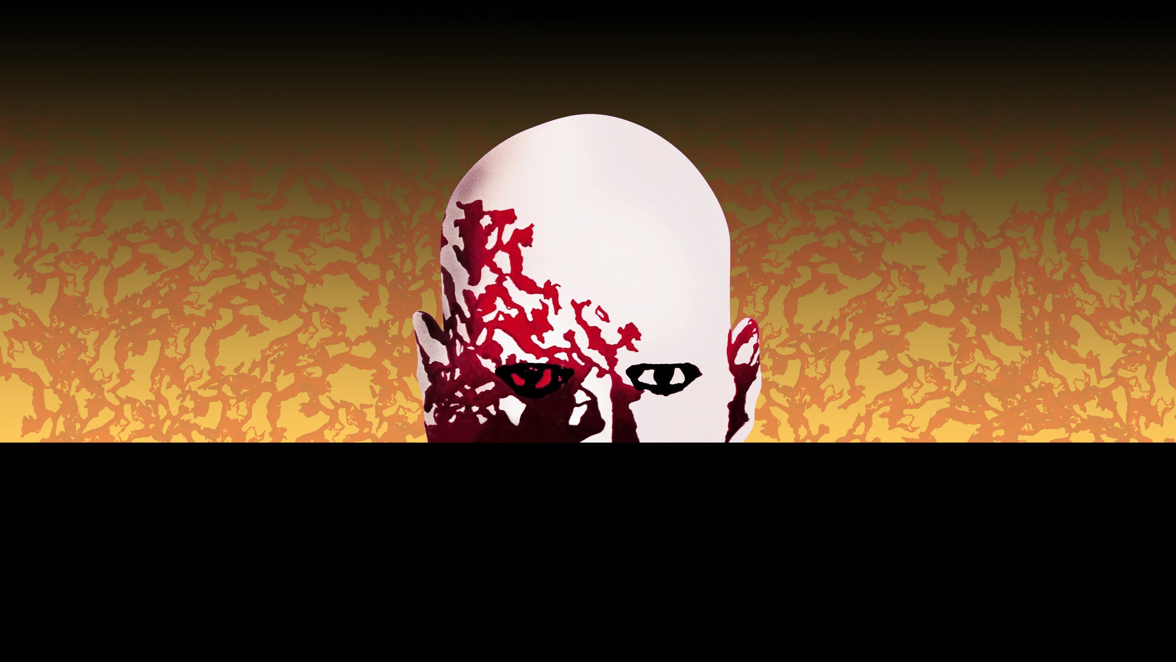 Zombi - immagine