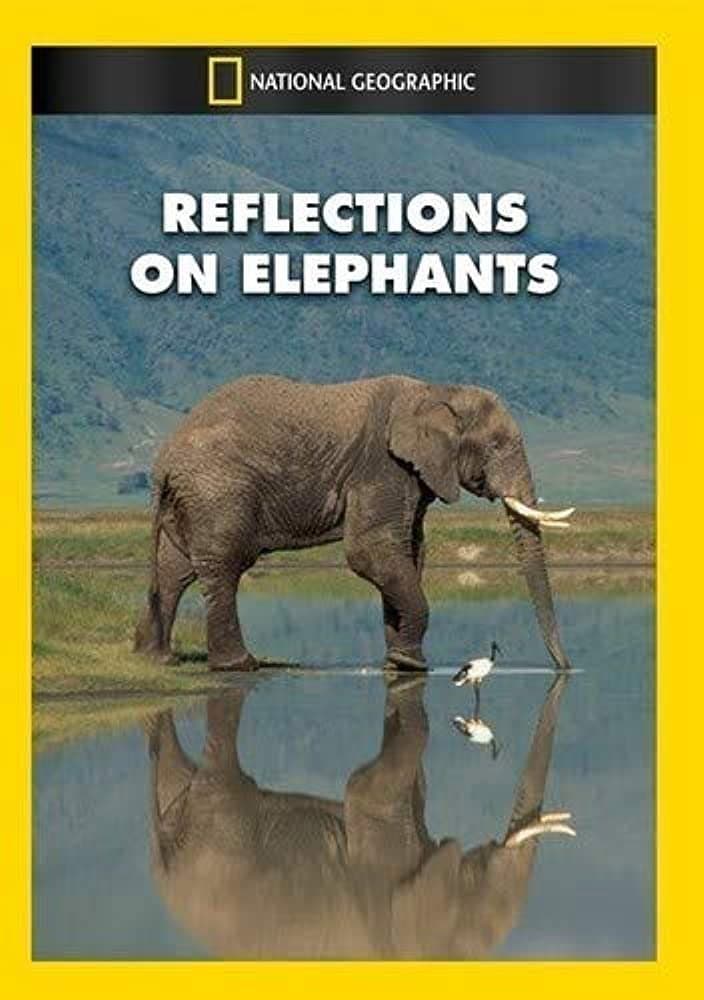Poster di Reflections on Elephants