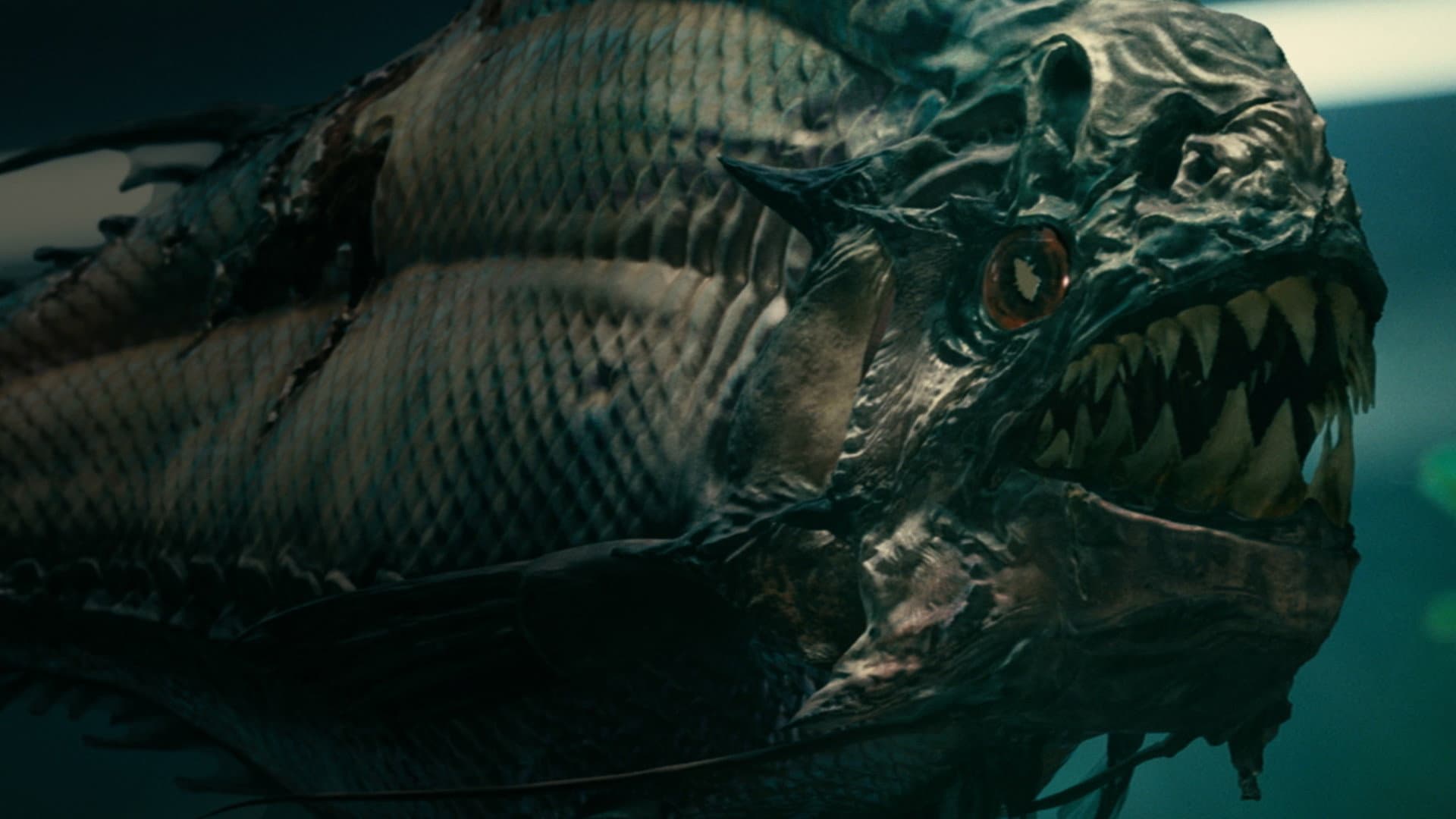 Piranha 3D - immagine