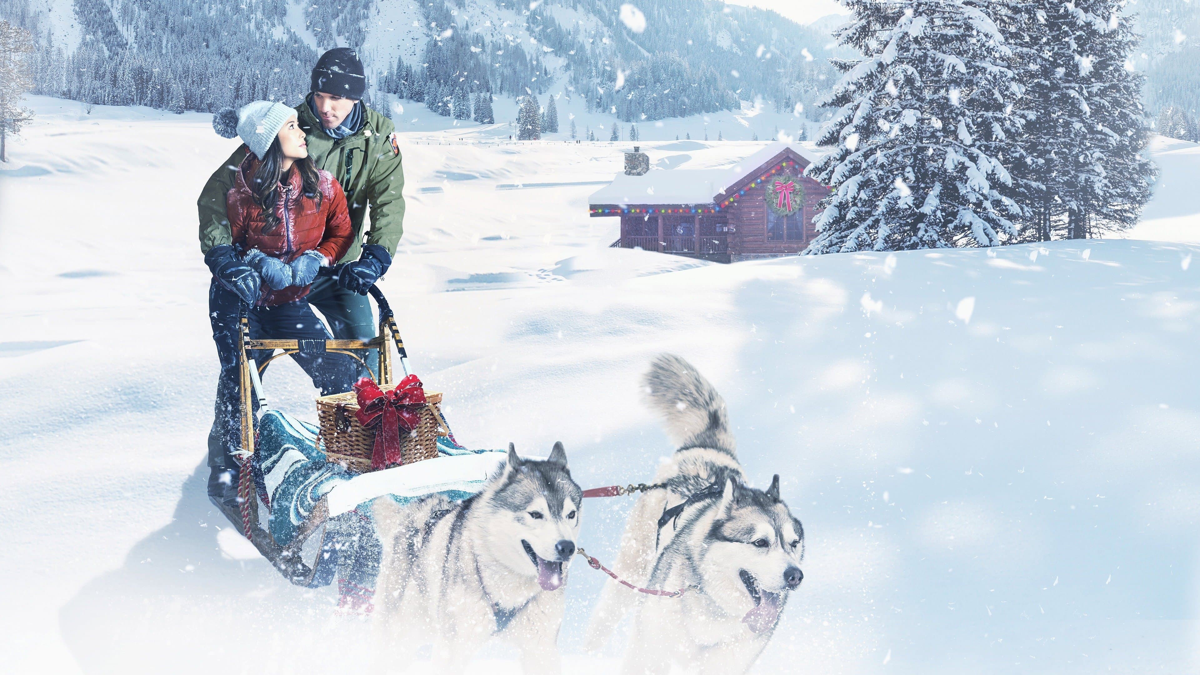 Christmas in the Wilds - immagine