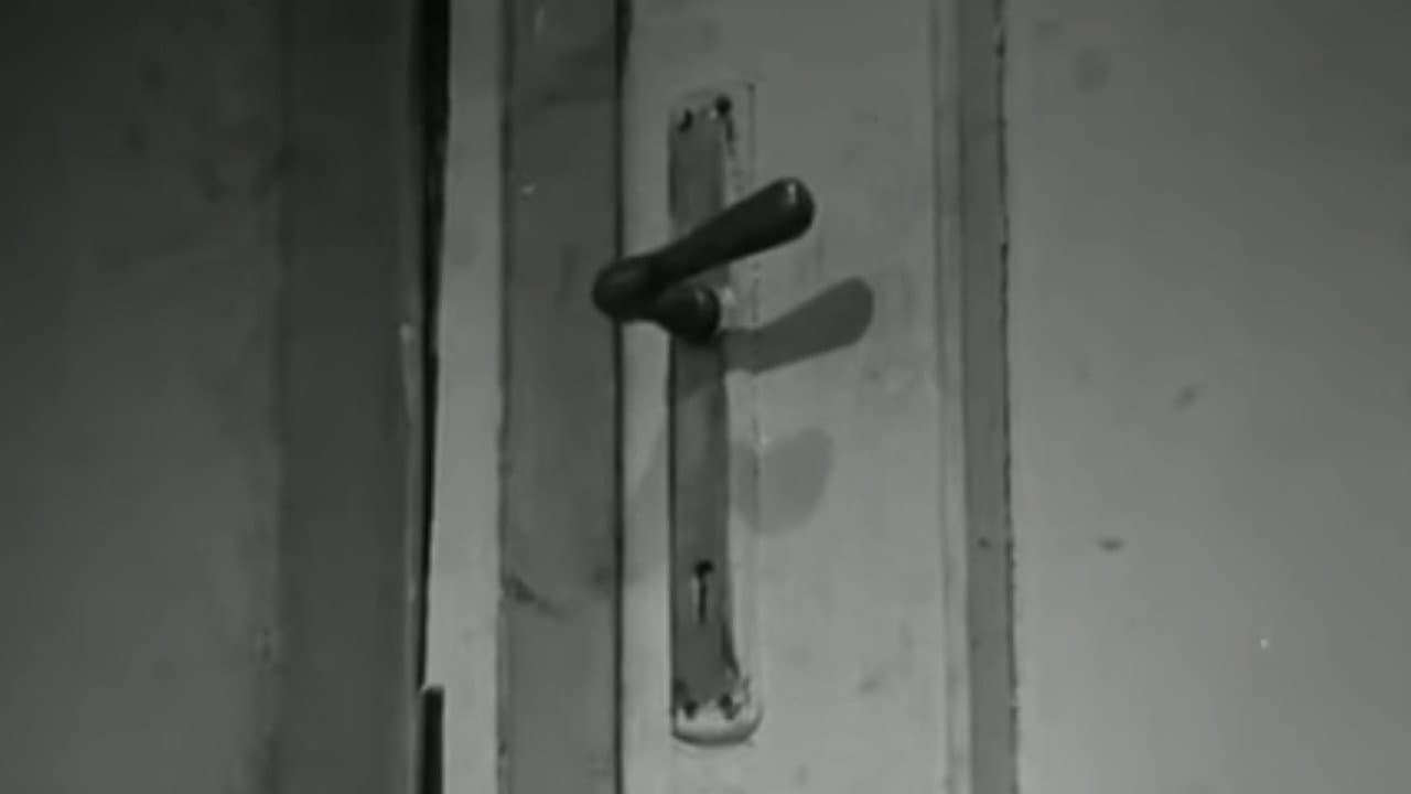 Morderstwo - immagine