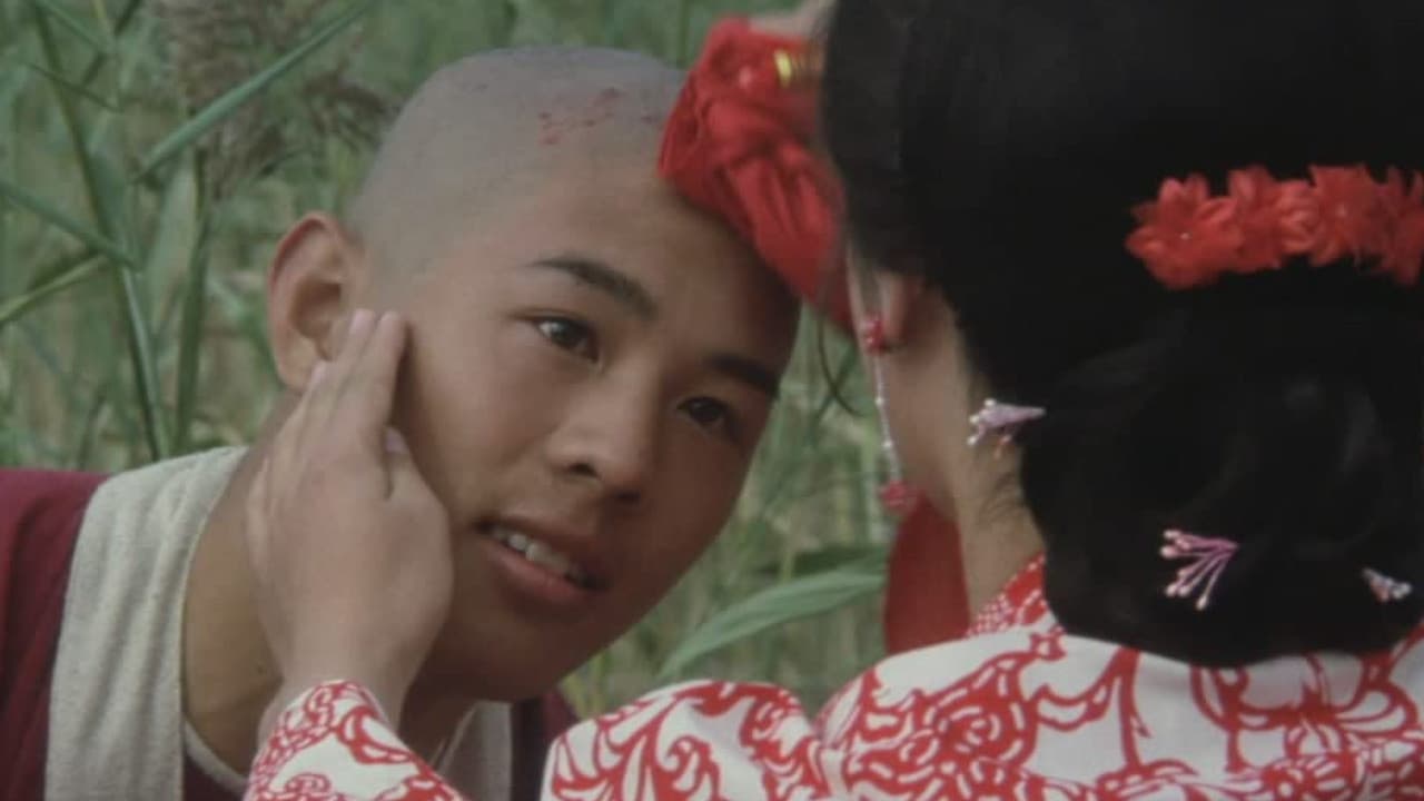 The Shaolin Temple - immagine