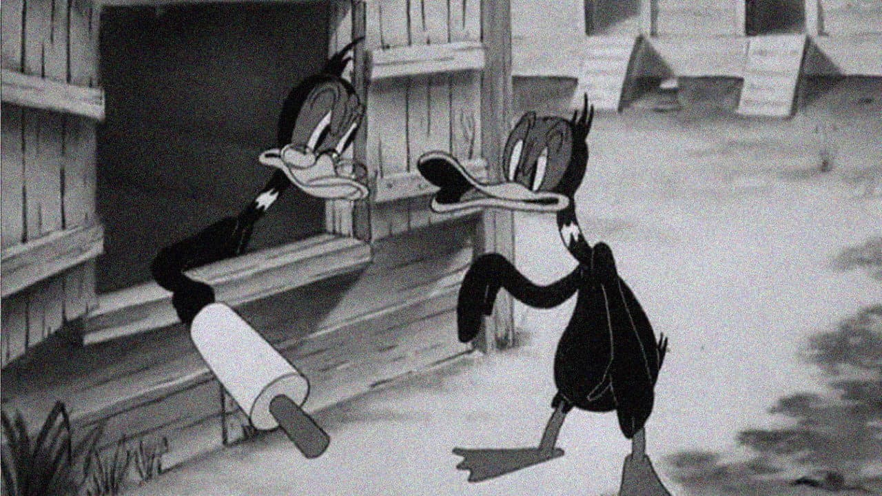 Wise Quacks - immagine
