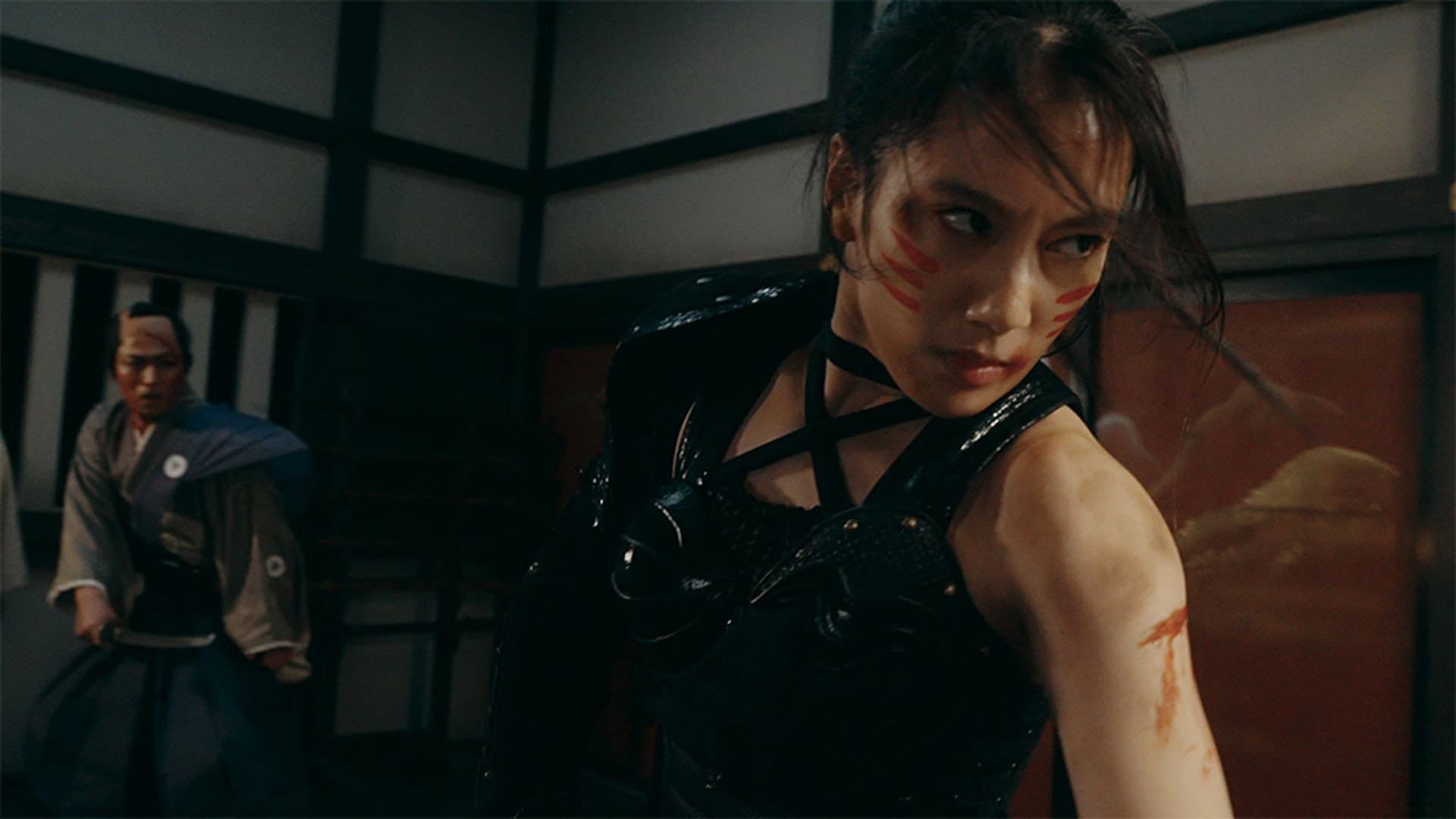 Ninja Wars: BlackFox vs Shogun's Ninja - immagine