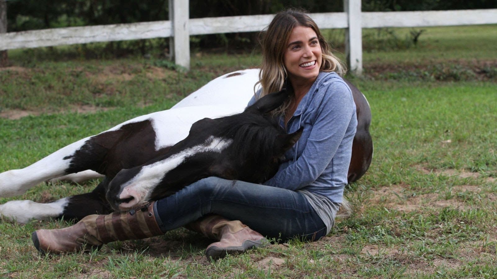 A Sunday Horse - immagine