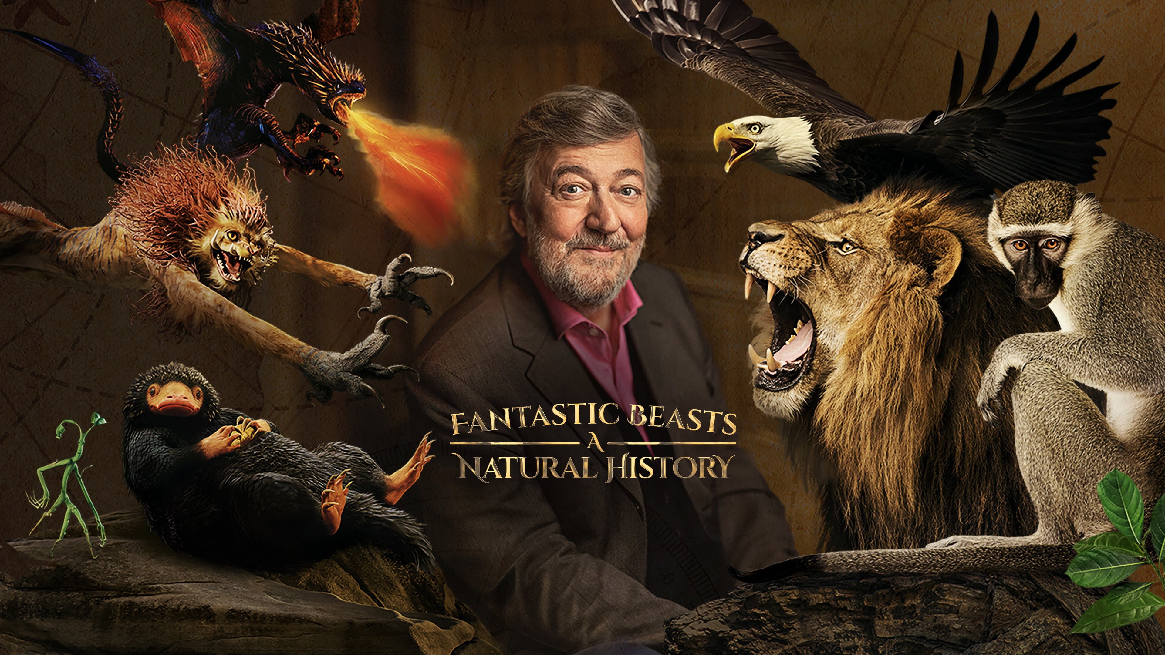 Fantastic Beasts: A Natural History - immagine