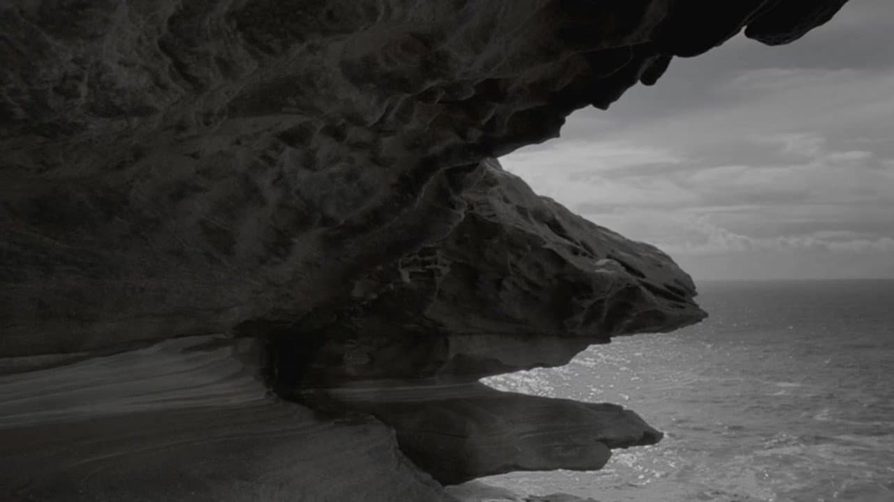 Observance - immagine